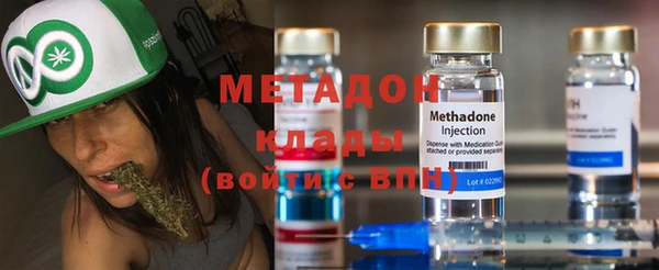 сатива Новодвинск