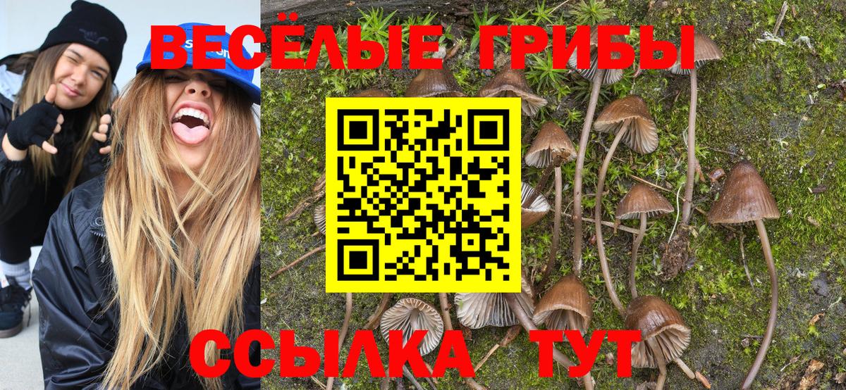 Галлюциногенные грибы Magic Shrooms  Псилоцибиновые грибы Cubensis  Боровичи 