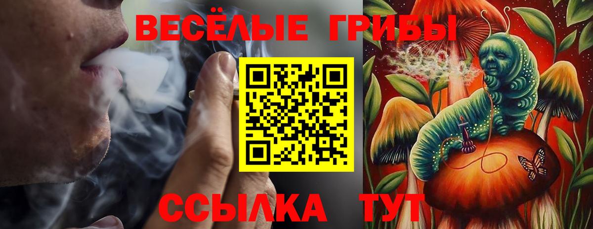 Галлюциногенные грибы прущие грибы  Вход с VPN  Галлюциногенные грибы Magic Shrooms  Боровичи 